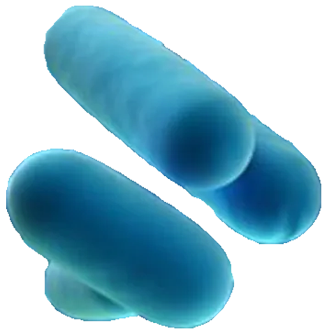 Control y erradicación de la legionella